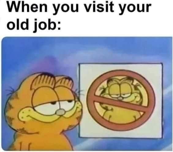 A classic meme using a vintage Garfield still. The orange cat is shown with a smug, knowing expression standing next to a framed "No Garfield" sign. The text at the top reads: "When you visit your old job," capturing the feeling of returning to a place where you are no longer authorized to be.