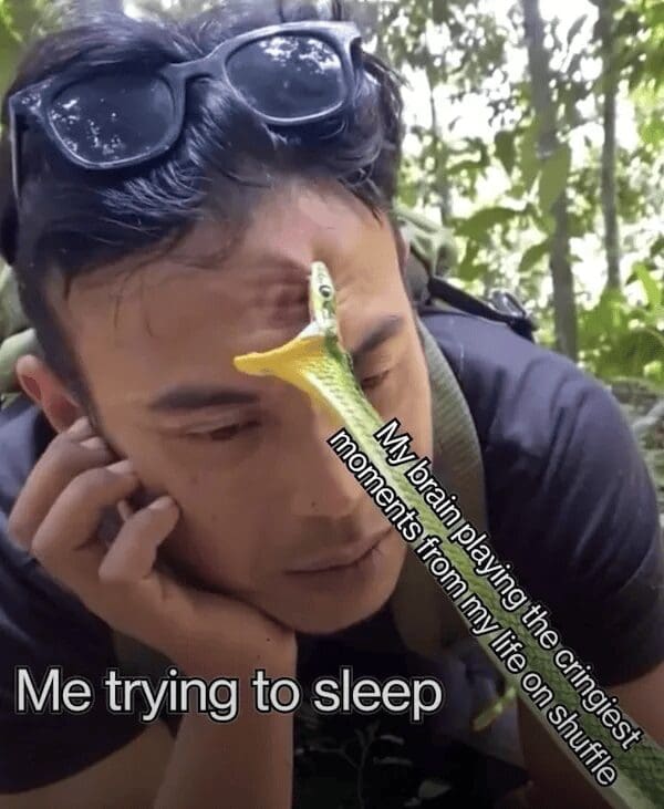 chaotic classic meme showing a man being bitten on the forehead by a small green snake. The snake represents "my brain playing the cringiest moments from my life on shuffle" while the man represents "me trying to sleep."