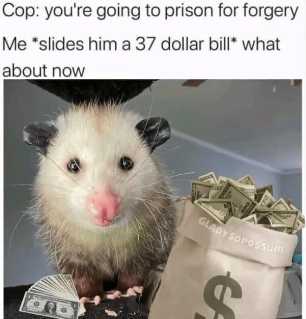 A hilarious classic meme featuring a wide-eyed opossum sitting next to several bags of cash. The text describes a failed bribe: "Cop: you’re going to prison for forgery. Me: *slides him a 37 dollar bill* what about now."