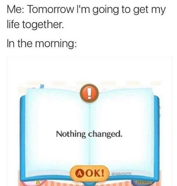 A classic meme showing a screenshot of a digital book from a video game (likely Nintendogs or Animal Crossing) that simply displays the text: "Nothing changed." The caption describes the feeling of waking up in the morning after promising to get your life together.