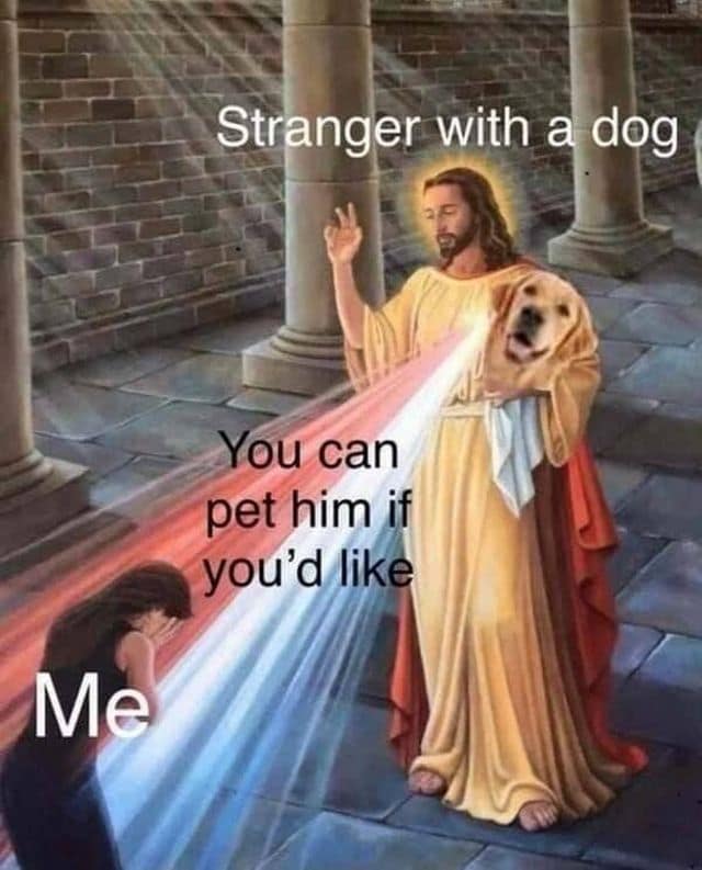 A sacred classic meme edit of a religious painting. Jesus, labeled as "Stranger with a dog," holds a Golden Retriever and emits a holy light labeled "You can pet him if you’d like" toward a weeping woman labeled "Me."