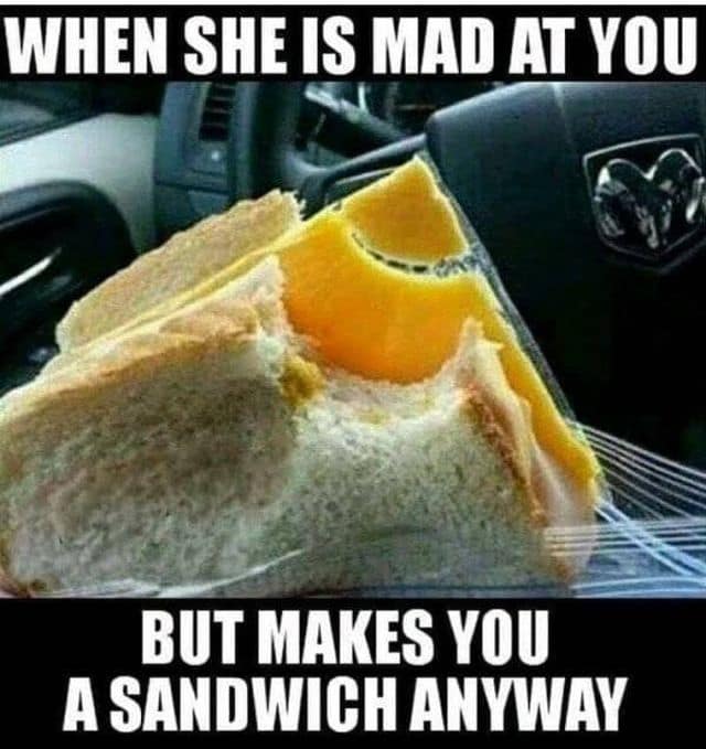 A classic meme showing a close-up of a sandwich wrapped in thin clear plastic. A large, circular bite has been taken out of the sandwich, but the plastic was never removed, leaving a jagged hole in the wrapping. Text: "WHEN SHE IS MAD AT YOU BUT MAKES YOU A SANDWICH ANYWAY".