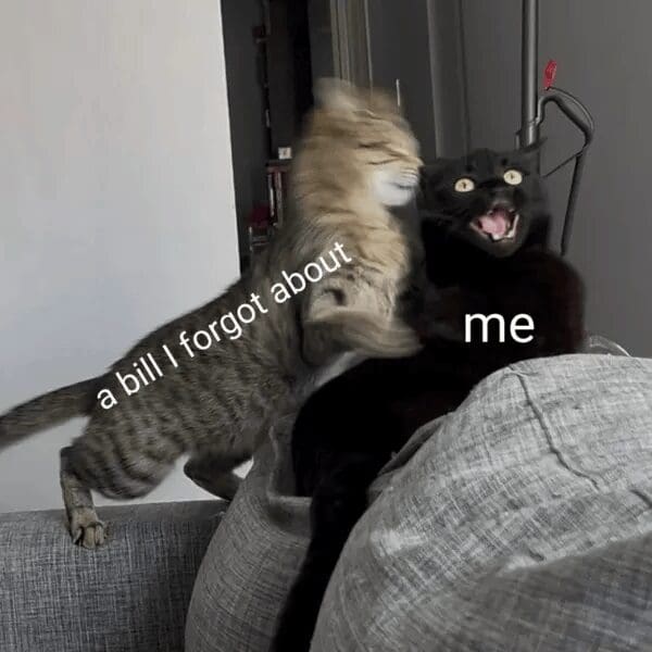 An action-shot classic meme using two cats on a sofa. A blurry tabby cat is shown mid-strike against a terrified-looking black cat. The labels designate the attacker as "a bill I forgot about" and the victim as "me."