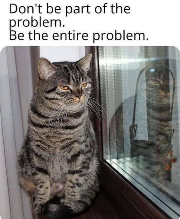 A grumpy tabby cat with squinted, judgmental eyes sits on a windowsill in this classic meme. The bold text above the feline provides the ultimate life advice: "Don't be part of the problem. Be the entire problem."