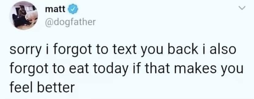 A classic meme text post from a user named Matt. It reads: "sorry i forgot to text you back i also forgot to eat today if that makes you feel better."