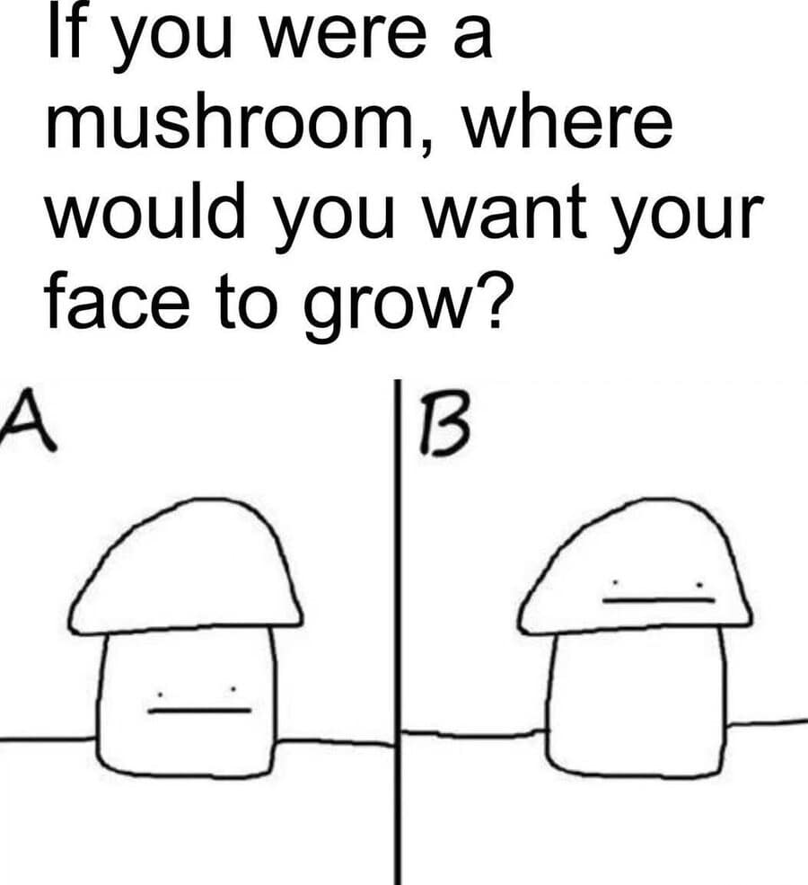 An absurdist classic meme asking a difficult hypothetical: "If you were a mushroom, where would you want your face to grow?" Choice A shows a face on the stem like a tiny torso, while Choice B shows the face on the cap, giving the mushroom a massive, heavy-browed head.