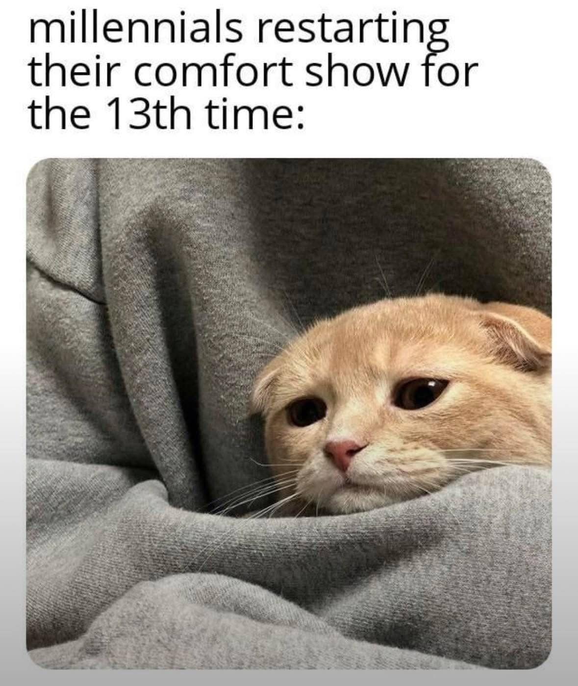 A relatable classic meme for the 2026 era. It features an adorable, sad-eyed ginger cat tucked deep into the sleeve of a grey hoodie. The text reads: "millennials restarting their comfort show for the 13th time," perfectly capturing the vibe of biological burnout and digital nostalgia.