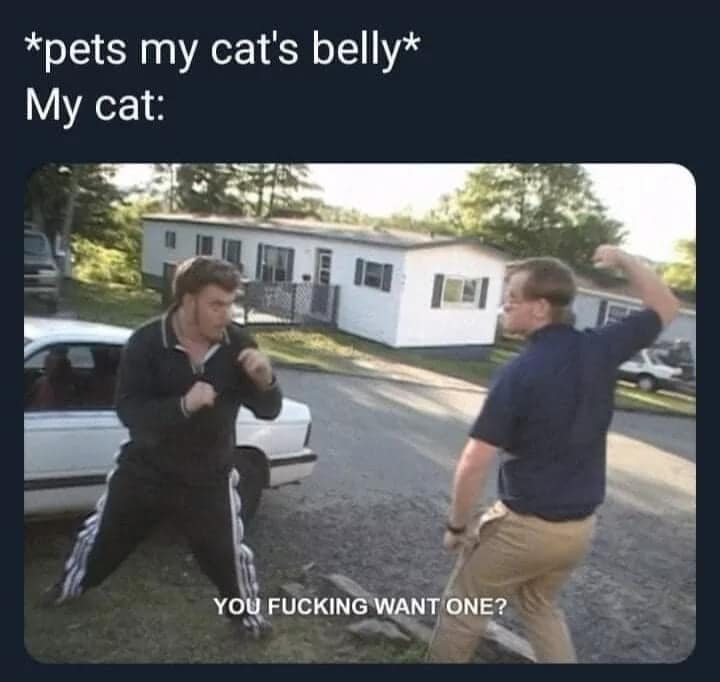 classic meme using a still from Trailer Park Boys. Ricky and Bubbles are squared up in a fighting stance in a trailer park. The text recontextualizes the aggression: "pets my cat's belly My cat: YOU F***ING WANT ONE?"