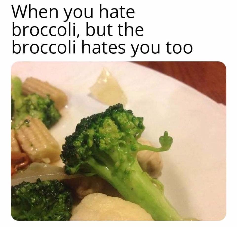 A rebellious classic meme showing a close-up of a cooked broccoli floret on a white dinner plate. A single tiny stem on the side of the vegetable is curved upward in a way that looks exactly like it is giving the viewer a middle finger. The overlay text reads: "When you hate broccoli, but the broccoli hates you too."