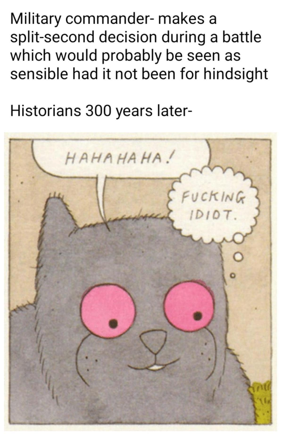 classic meme about historical perspective. The top text describes a military commander making a difficult split-second decision that looks bad only in hindsight. Below, a comic panel shows a grey cat with wide pink eyes laughing hysterically with a thought bubble that reads, "F***ING IDIOT," representing a historian 300 years in the future.