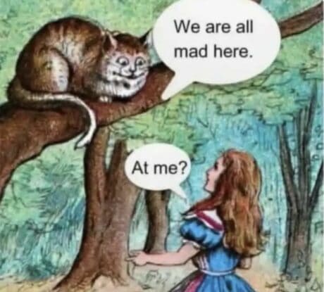 A twisted classic meme using an original Alice in Wonderland illustration. The Cheshire Cat sitting on a branch tells Alice, "We are all mad here," to which Alice innocently and anxiously replies, "At me?"