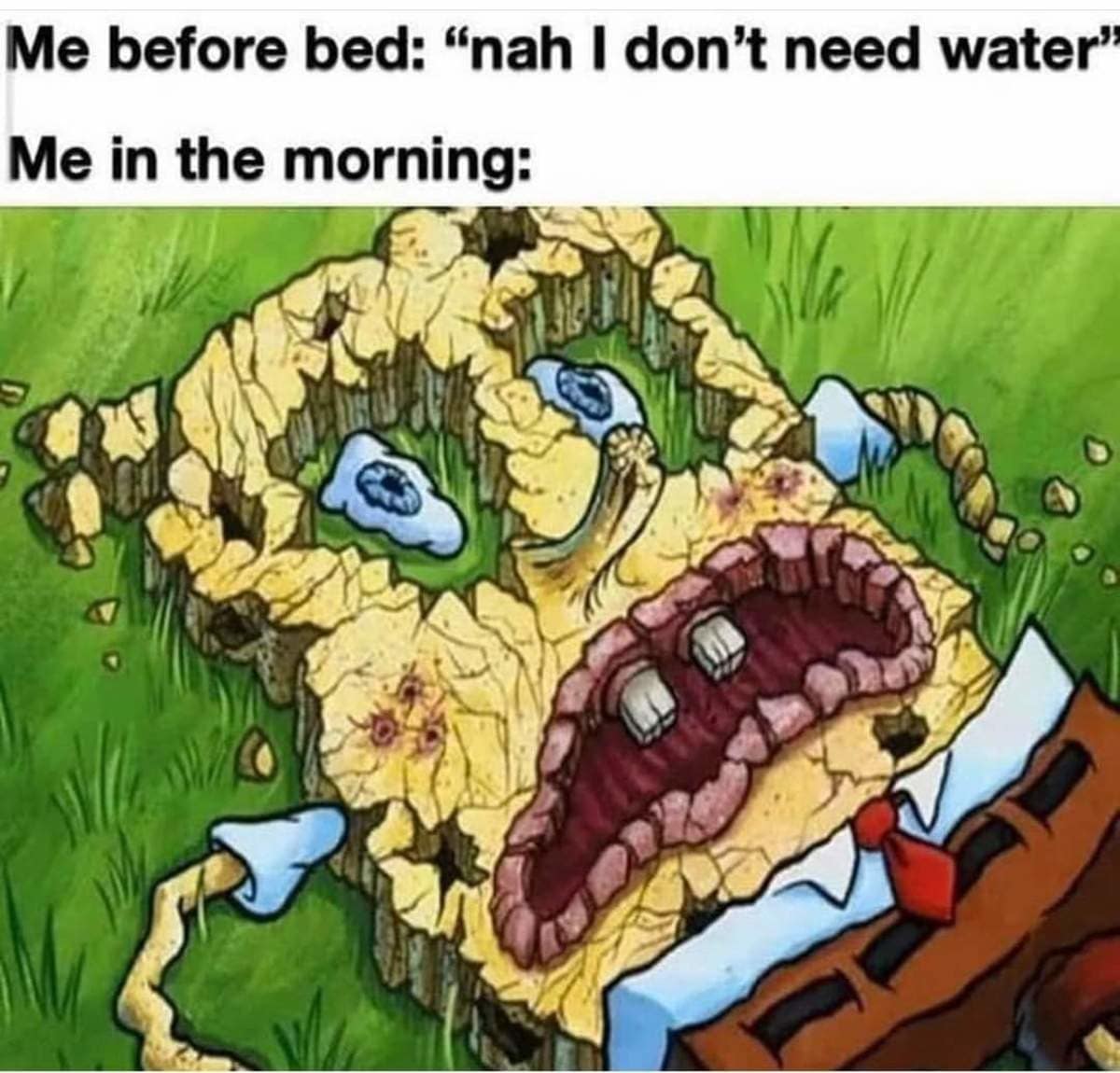 classic meme using a shriveled, dehydrated SpongeBob SquarePants. The caption contrasts "Me before bed: ‘nah I don’t need water’" with "Me in the morning:", showing SpongeBob looking completely dried out and cracked on the grass.