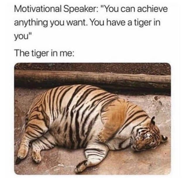 A savage best memes entry about self-perception. It contrasts a motivational speaker's claim that "you have a tiger in you" with a photo of the reality: a comically obese tiger lying flat on its side, appearing completely exhausted and immobile.