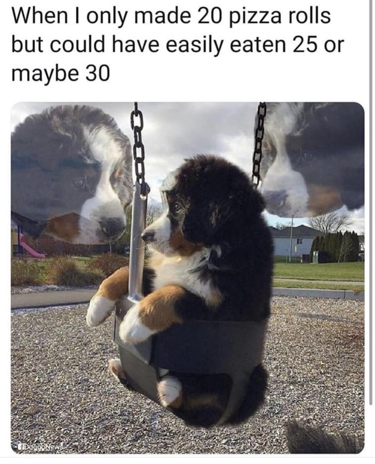 A melancholic puppy sits in a playground swing, capturing the energy of a classic meme about regret. The text laments making only 20 pizza rolls when the hunger for 30 was clearly there.