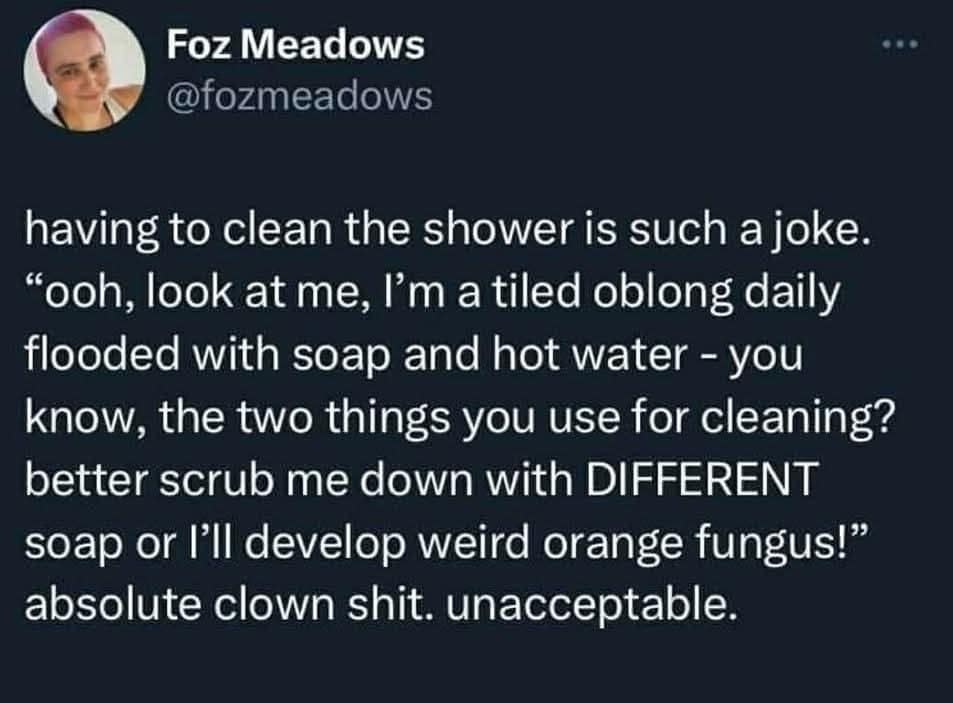 classic meme tweet from Foz Meadows rants about the absurdity of cleaning a shower. The post argues that a tiled space flooded daily with soap and hot water should be self-cleaning, yet it still demands a scrub to prevent orange fungus