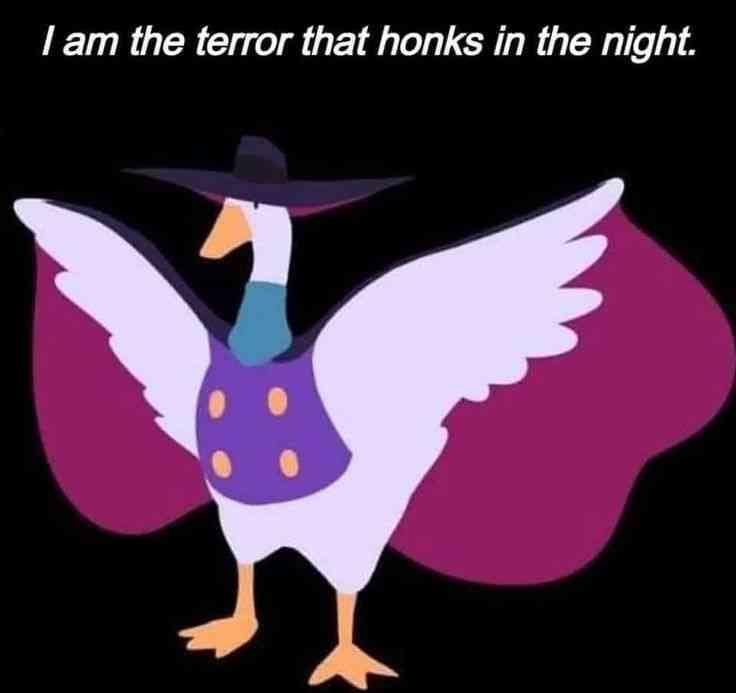 classic meme featuring an illustration of a white goose dressed as the superhero Darkwing Duck, complete with a wide-brimmed hat, purple cape, and mask. The text reads I am the terror that honks in the night.