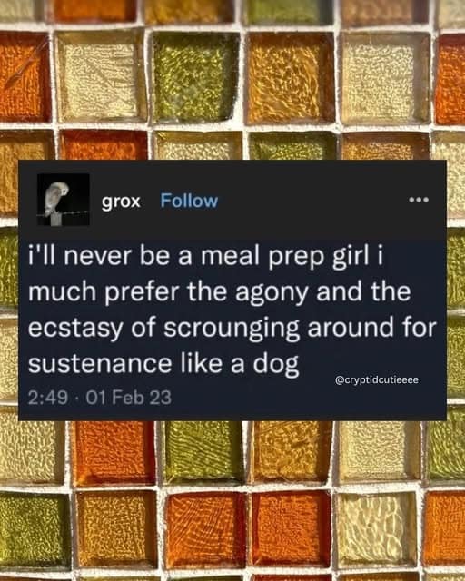 A relatable classic meme tweet from @grox about the lack of domestic discipline. The text reads: "i’ll never be a meal prep girl i much prefer the agony and the ecstasy of scrounging around for sustenance like a dog."