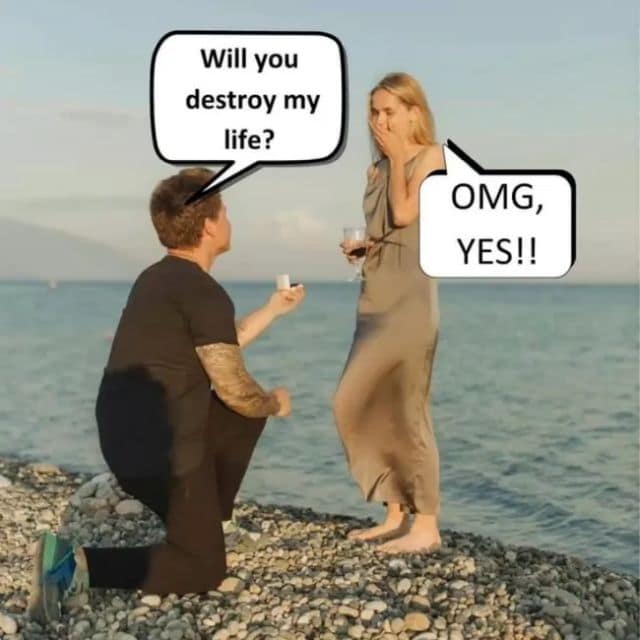 A cynical classic meme subverting a romantic moment. It shows a man proposing to a woman on a rocky beach, but the speech bubbles are edited to say, "Will you destroy my life?" and "OMG, YES!!"