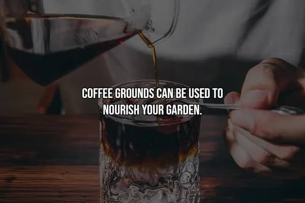 Hand pouring rich black coffee from carafe into glass tumbler, highlighting coffee grounds garden fertilizer use.