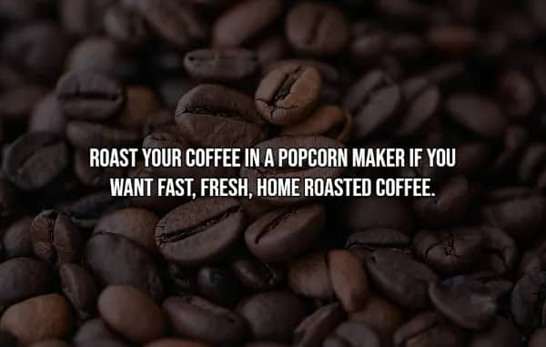 Close-up of glossy roasted coffee beans, illustrating popcorn maker home roasting hack for fresh coffee.