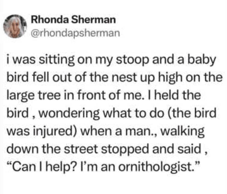 Tweet about ER nurse putting her head in her hands after learning the BB gun shooter was her own son