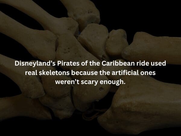 A fascinatingly gross creepy fact over a high-resolution texture of human skin. It explains that because your skin fully replaces its surface every month, you will effectively wear about 1,000 different skins throughout your lifetime.