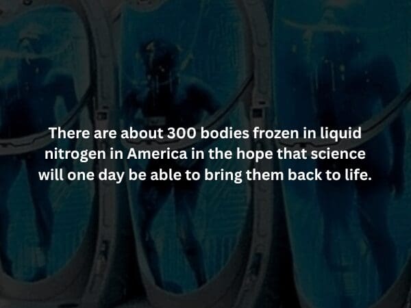 A futuristic yet eerie creepy fact overlaying an image of glowing blue cryogenic pods. It notes that there are currently around 300 bodies frozen in liquid nitrogen across America, held in a state of suspended animation in the hope that future technology can resurrect them.