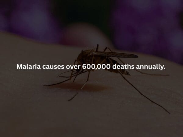 High-Octane Alt Text (Part 2, Images 11-16) Image 11 A creepy fact presented against a dark forest background with a human skeleton leaning against a tree. The text explains that babies are born with 270-300 bones, which physically fuse together into 206 by adulthood. creepy facts-11-20260428.jpg Image 12 A high-contrast, shadowed photograph of the massive stone facade of the Ararat Lunatic Asylum in Australia. This spooky fact entry notes that 13,000 people died there over 140 years, and it is allegedly one of the most haunted locations on the continent. creepy facts-12-20260428.jpg Caption: So, basically a standard Australian Tuesday, then? Image 13 A dark rendering of an ancient Roman mosaic showing gladiators in the arena. The text shares a creepy fact from history: ancient Romans believed that drinking the fresh blood of a fallen gladiator could cure epilepsy. creepy facts-13-20260428.jpg Image 14 A somber, low-light image of a densely packed, ancient graveyard with weathered headstones tilting in the dirt. The overlaid spooky fact provides a jarring statistic: approximately 178,000 people die every single day across the globe. creepy facts-14-20260428.jpg Image 15 A macro, high-detail shot of a mosquito on human skin, shrouded in dark purple and black tones. The text delivers a creepy fact about global health: Malaria remains one of the world's top killers, causing over 600,000 deaths annually.