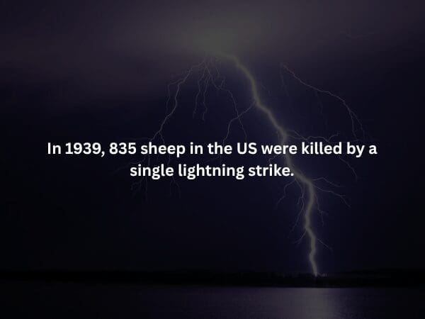 A sobering creepy fact set against a dark background of a CPR training mannequin. It highlights a grim social reality: studies indicate that people with breasts are significantly less likely to receive timely CPR from bystanders, often due to hesitation or fear of inappropriate touching.