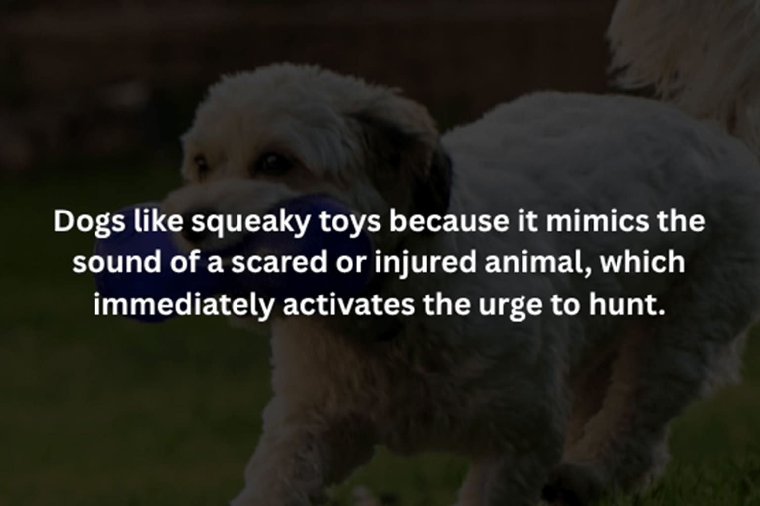 April 14 creepy facts collection ithat dives into the visceral and morbid reality of biology and history