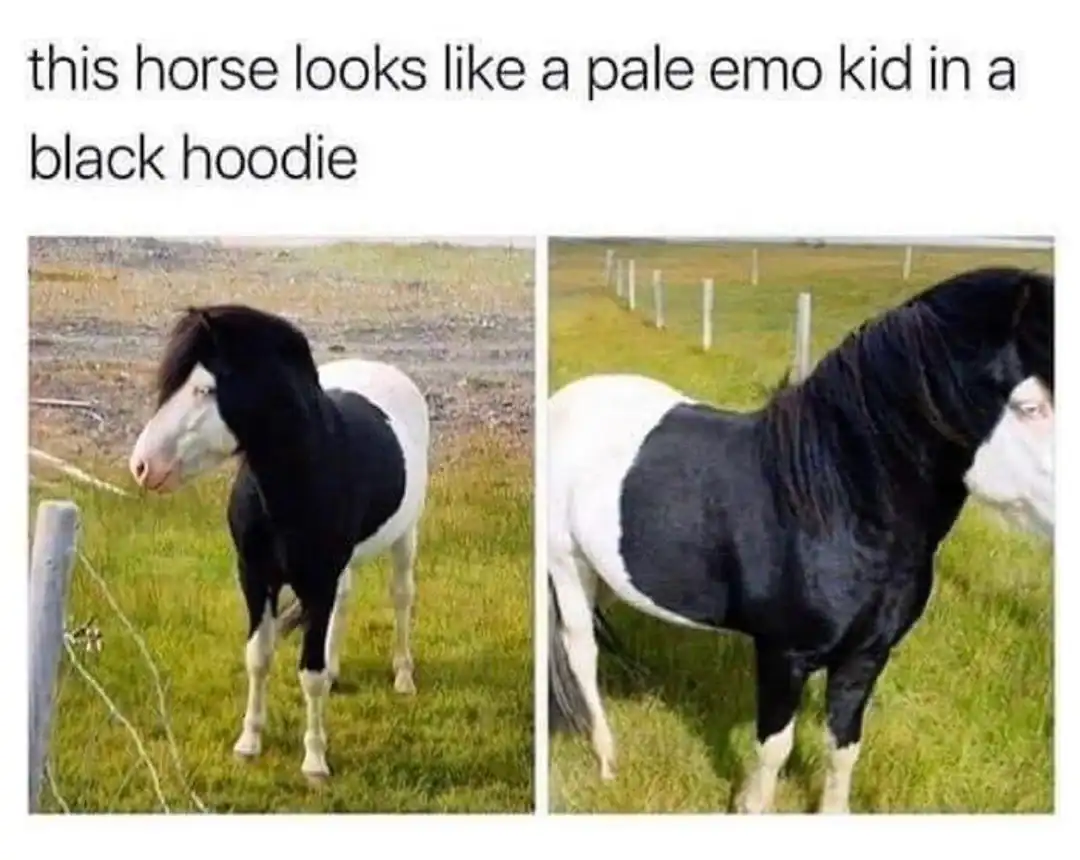 A landscape photo captures a cursed image of a horse with an uncanny "emo" aesthetic. Its white facial markings and long, sweeping black mane create the illusion of a pale-skinned teenager in a black hoodie with side-swept bangs.