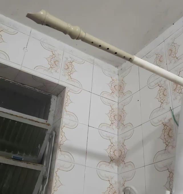 A DIY cursed instrument hack where a beige plastic school recorder has been installed as the arm of a showerhead. The mouthpiece is attached to the wall, implying that water sprays out of the finger holes for a chaotic, melodic bathing experience.