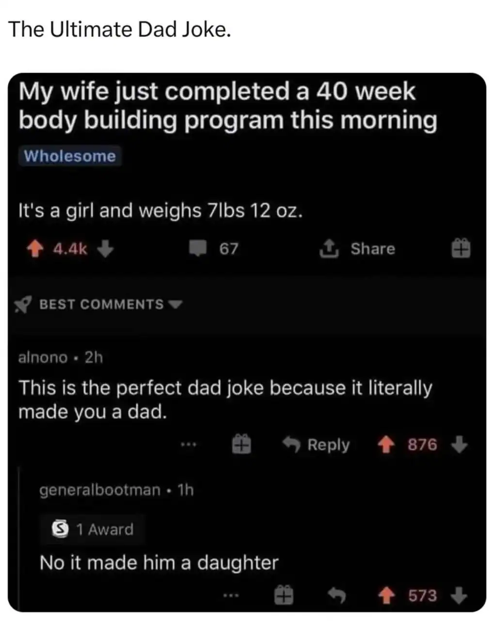 wholesome dad joke Reddit post where a user claims his wife completed a "40 week body building program" (referring to pregnancy). The comments double the groans: one user notes it "literally made him a dad," while another snarkily counters, "No, it made him a daughter."
