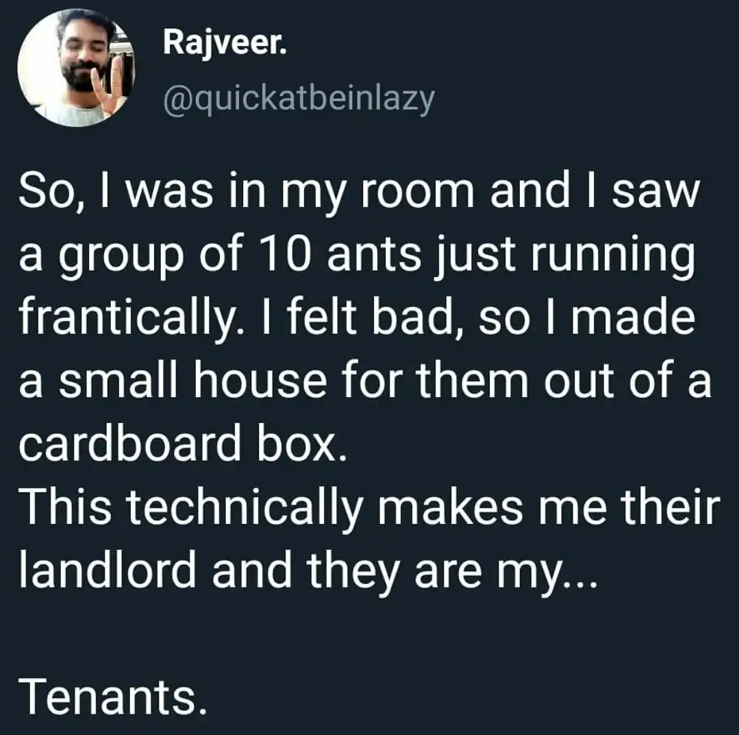 A classic linguistic dad joke tweet from Rajveer. He describes seeing 10 ants and building them a cardboard house, concluding that as their landlord, they are technically his "Tenants" (ten ants).