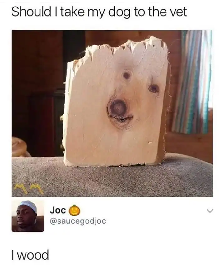 visual dad joke featuring a cross-section of a wooden beam that bears an uncanny resemblance to a dog's face. Below the query "Should I take my dog to the vet?", user @saucegodjoc provides the punchline: "I wood."