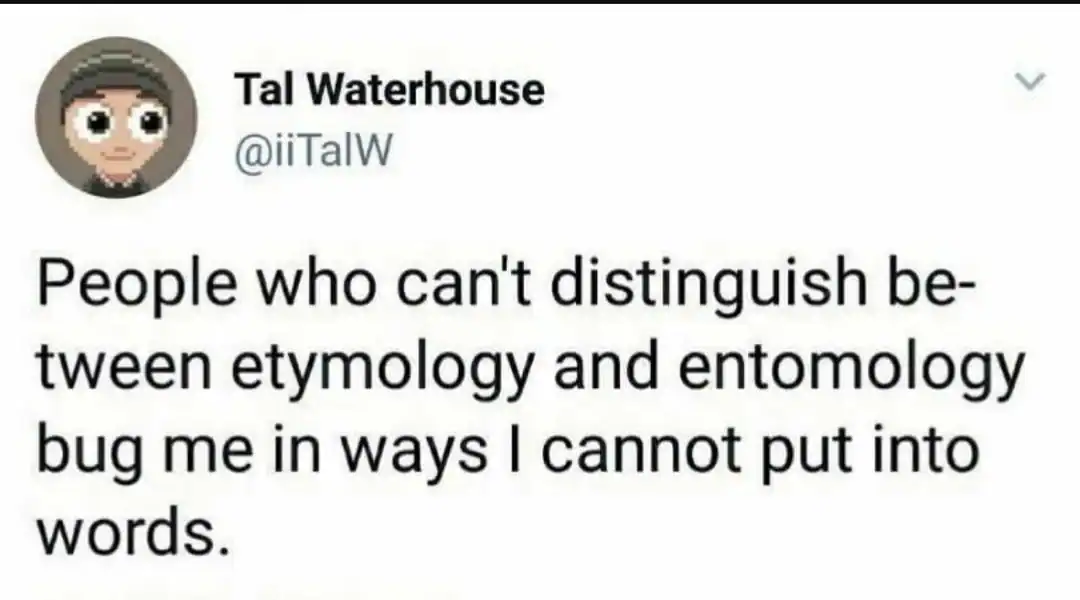 A high-brow dad joke tweet from Tal Waterhouse: "People who can't distinguish between etymology and entomology bug me in ways I cannot put into words," cleverley using "bug" (entomology) and "words" (etymology) as the punchline.