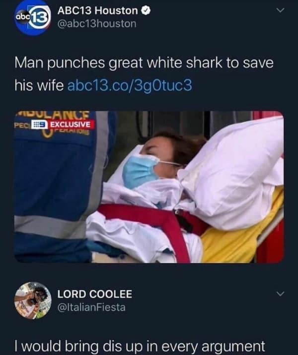 A news headline reporting a man punching a great white shark to save his wife is paired with a tweet from user Lord Coolee. The response highlights the ultimate "dad move" of weaponizing such a heroic feat to win every single domestic argument for the rest of time.