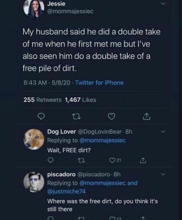 A Twitter thread describing the specific magnetism of raw materials. User Jessie notes that while her husband did a double-take when they first met, he recently did the same for a "free pile of dirt," leading to a flurry of comments from other men asking for the dirt's exact location.