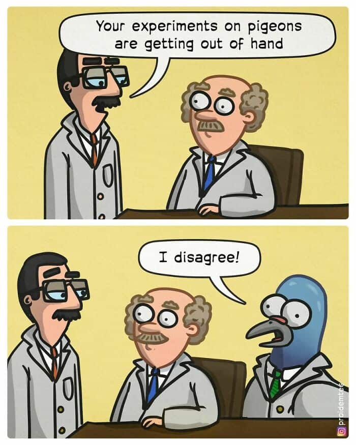 meta dark humor comic set in a laboratory. One scientist tells another that his "experiments on pigeons are getting out of hand." The punchline reveals a third "scientist" sitting at the table—a giant pigeon wearing a lab coat and tie who firmly replies, "I disagree!"