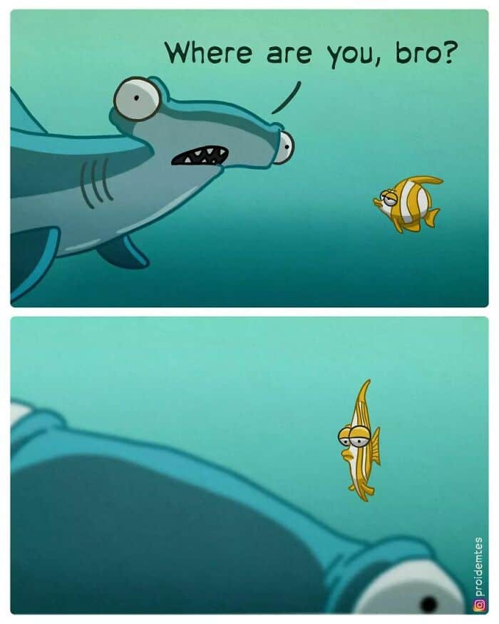 dark humor comic featuring a hammerhead shark. He asks a small fish, "Where are you, bro?" because his eyes are on the far sides of his head. The second panel shows the fish is right in front of the shark's nose, a total blind spot.