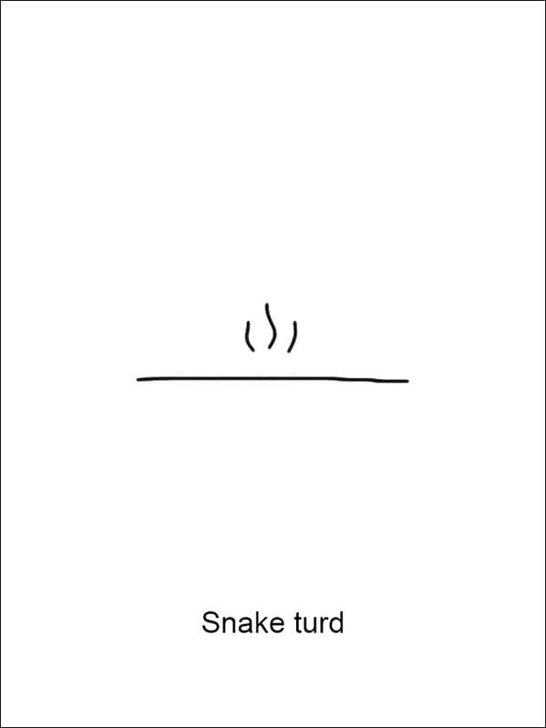 simple funny Demetri Martin drawing titled "Snake turd" showing a flat horizontal line on the ground with three small wavy lines representing heat or odor rising from the invisible waste.