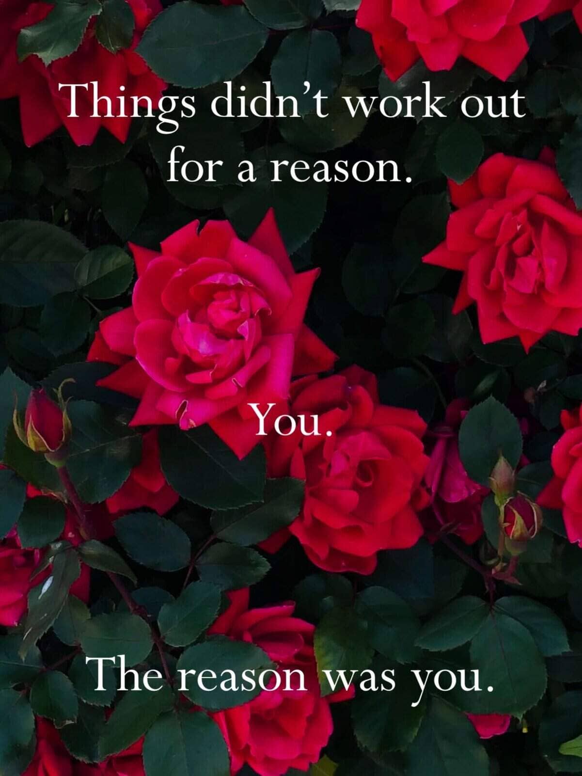 Demotivational quote over red roses bluntly clarifying that the reason things didn't work out was you.