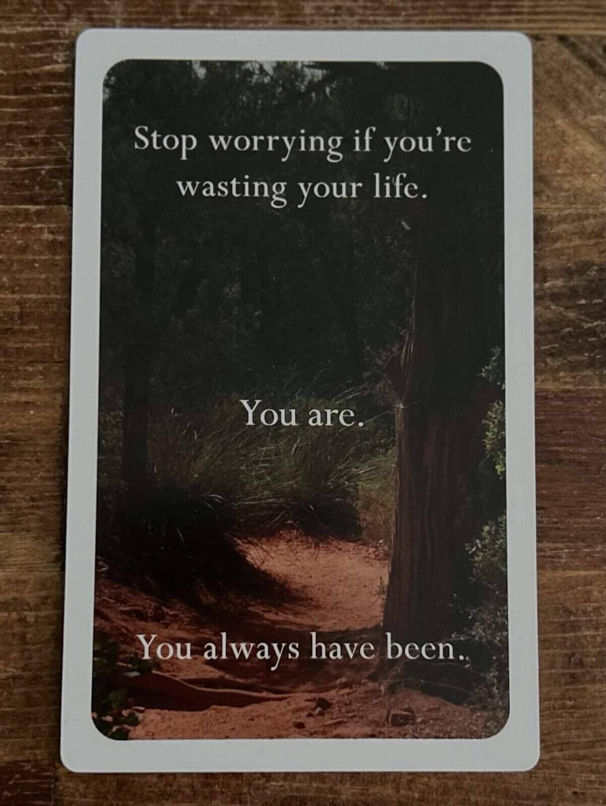 Demotivational quote card telling readers to stop worrying about wasting their life since they always have.