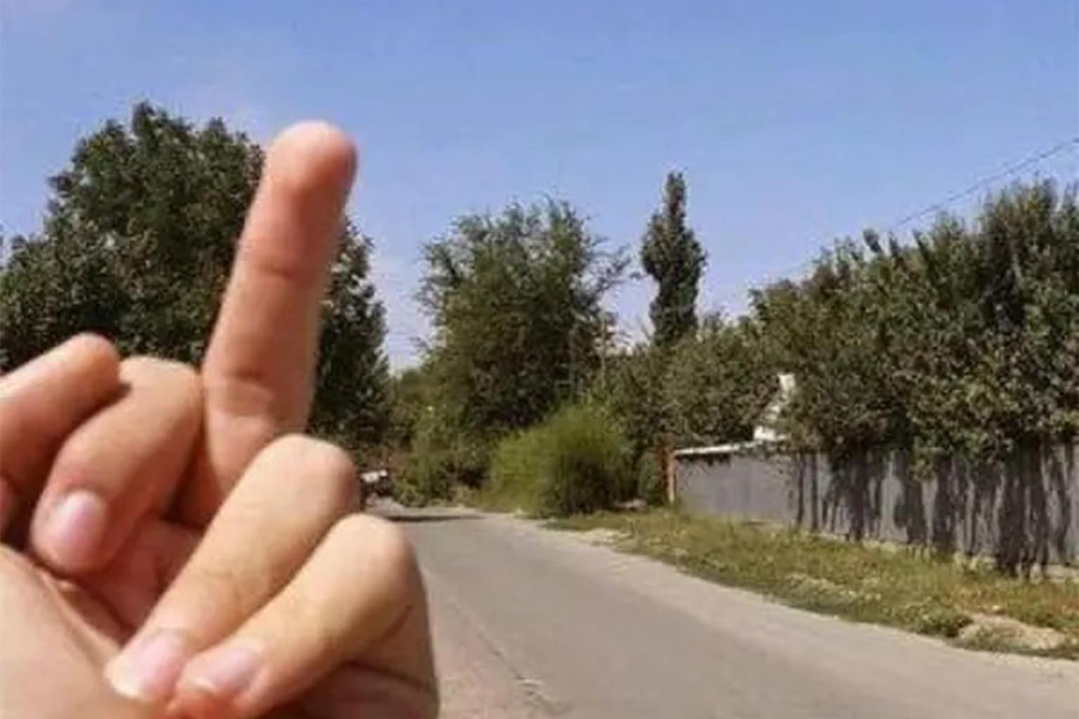 A definitive dumb memes gallery documenting the peak of 2026 internet irony, featuring Darth Vader casually joining a solemn procession of Catholic priests, a simple backyard fence performing an engineering miracle by holding back a massive flood, and a cartoon sun physically strangling a thermometer during a record-breaking heatwave.