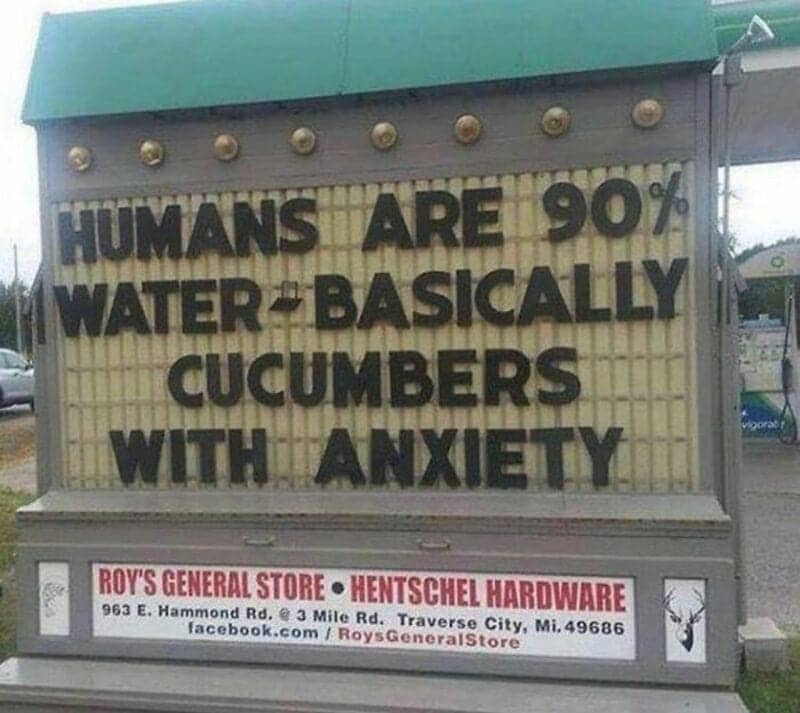 Roy's General Store roadside sign reads humans are 90 percent water basically cucumbers with anxiety