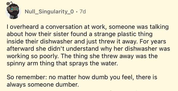 Reddit comment about woman throwing away dishwasher spray arm thinking it was strange plastic piece