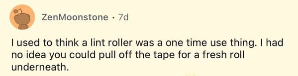 Reddit user confesses not knowing lint roller sheets peel off revealing fresh roll underneath