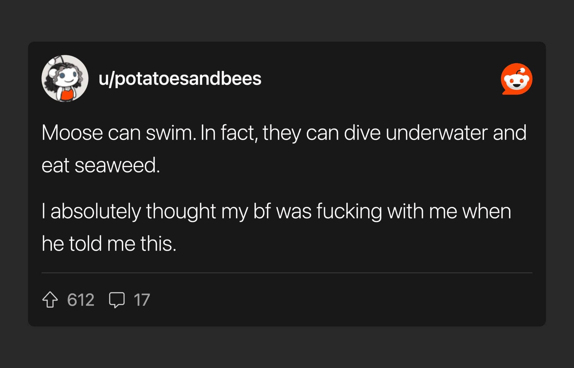 Reddit post about moose ability to swim and dive underwater to eat seaweed as food.