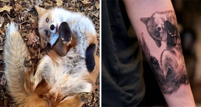 Fox and cat playing together inspiring detailed black and grey realistic forearm tattoo piece