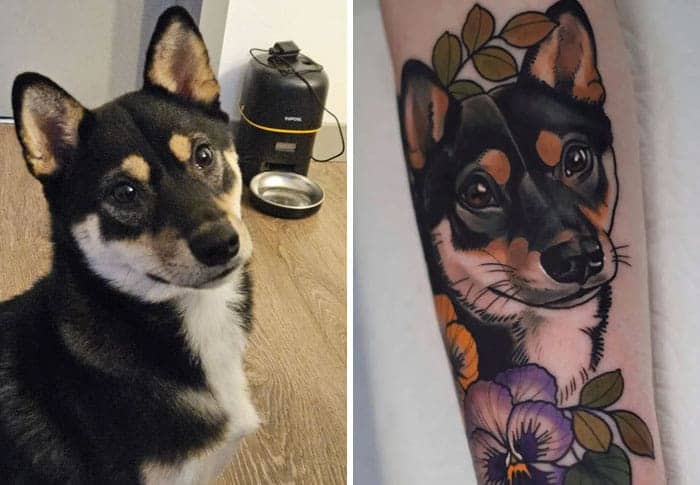 Black and tan Shiba Inu dog photo transformed into vibrant neo-traditional portrait tattoo